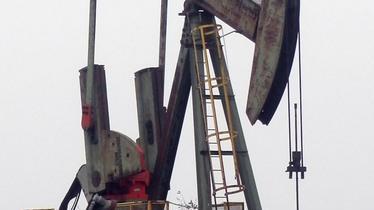 No Triv, oggi assedio a Errani in Regione