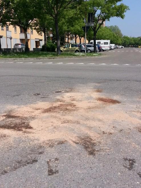 Schianto, arrivano i pompieri per liberare il conducente