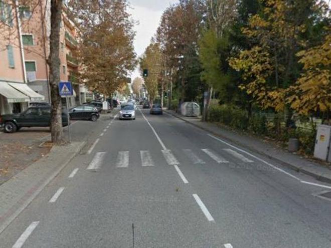 «Viale Bagnoli senza platani, ripensateci» 