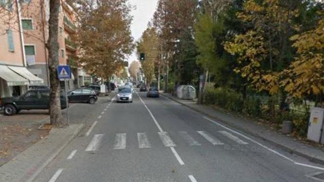 «Viale Bagnoli senza platani, ripensateci»