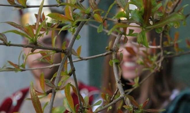 Matilde misteriosa Beppe Alessi sarà l’imperatore