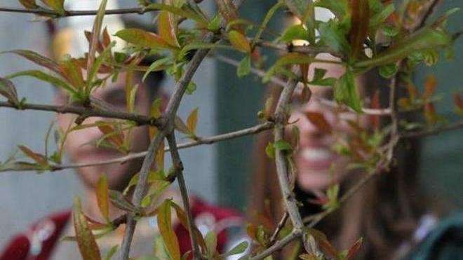 Matilde misteriosa Beppe Alessi sarà l’imperatore