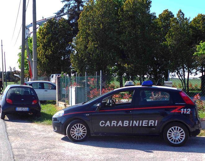 Cade dal cestello mentre sta potando alcuni alberi 