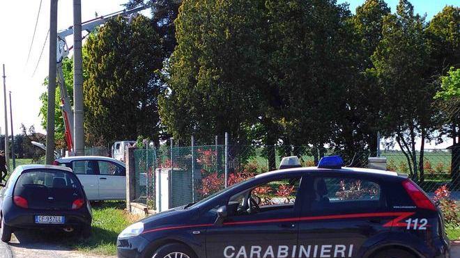 Cade dal cestello mentre sta potando alcuni alberi