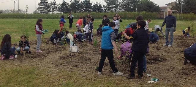 Nasce il bosco dei bambini