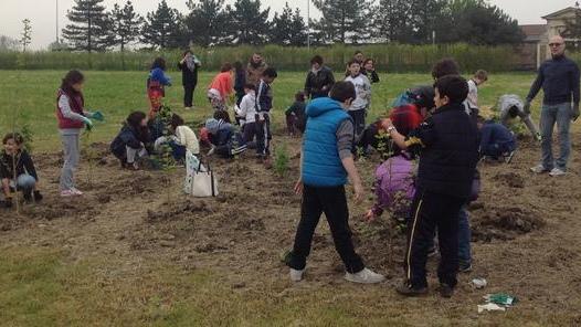 Nasce il bosco dei bambini