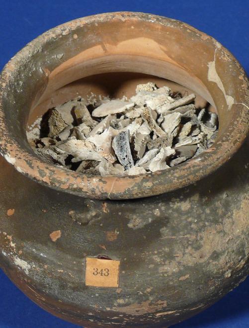 Così vivevano sulla Pietra i nostri antenati preistorici 