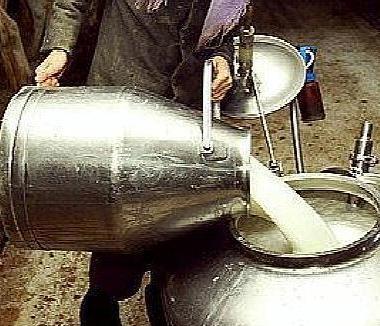 Latte cancerogeno, assolto l’allevatore 