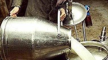 Latte cancerogeno, assolto l’allevatore