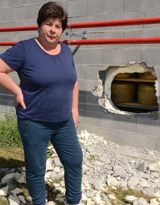 Inseguono i banditi che hanno svuotato il caseificio biologico 