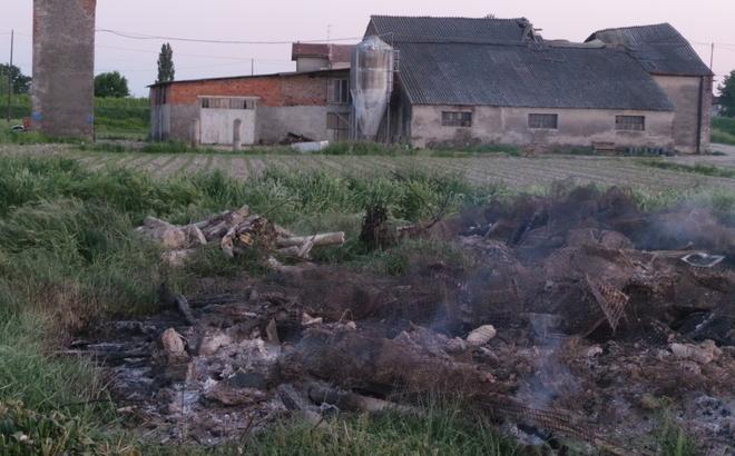 Incendiato a Sabbioncello ex allevamento di visoni 