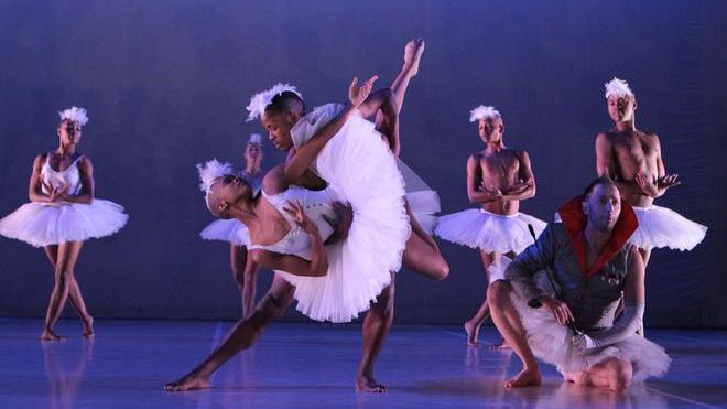 Il Lago dei Cigni in salsa africana