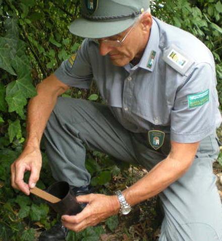 “Zanzara tigre day”, 5.500 kit a disposizione 