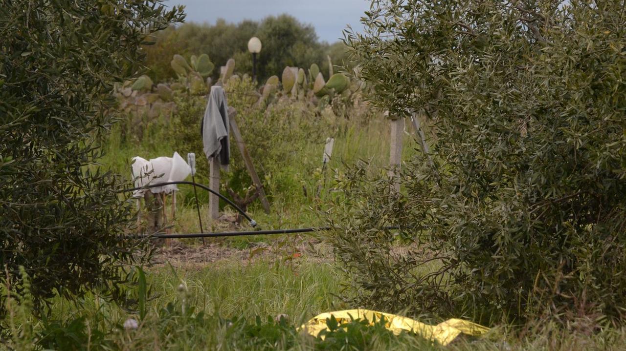 Tragedia nei campi: agricoltore muore dilaniato dal trattore 