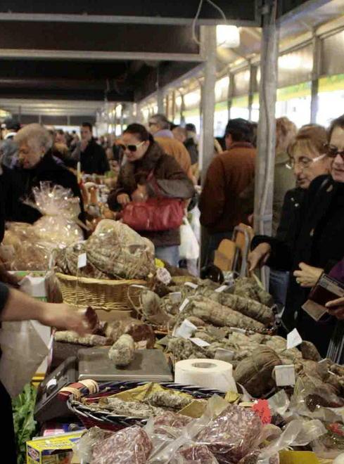 Raccolta funghi solo il martedì e giovedì
