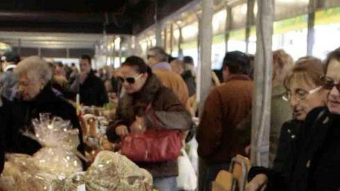 Raccolta funghi solo il martedì e giovedì