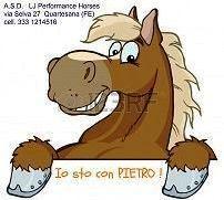 Oggi al maneggio LJ un pomeriggio per Pietro