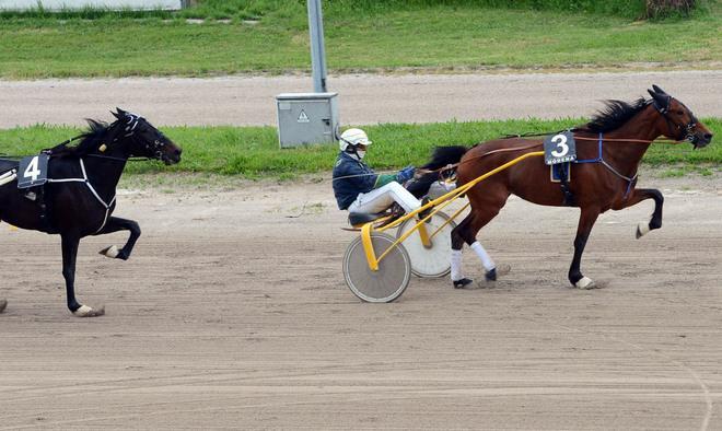 Nester dei Venti firma la Tris 