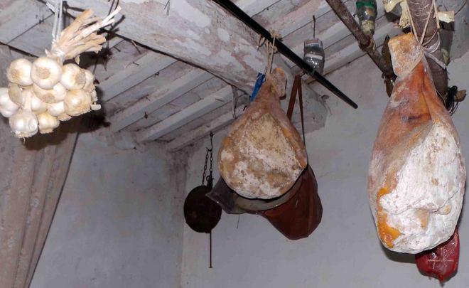 Anziani rapinati in casa 