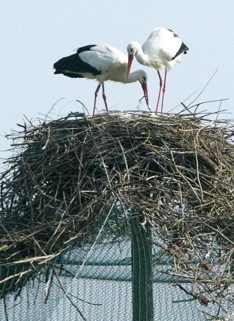Appuntamenti nelle anse vallive dell’oasi