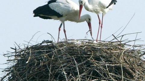 Appuntamenti nelle anse vallive dell’oasi