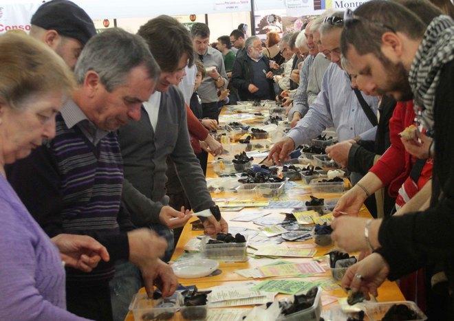 Al Misen si farà il punto sull’agricoltura 