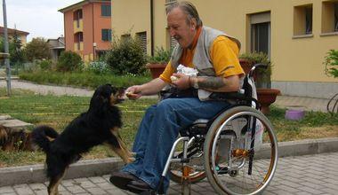 Muore Mathis il cane della casa protetta, il dolore dei ricoverati 