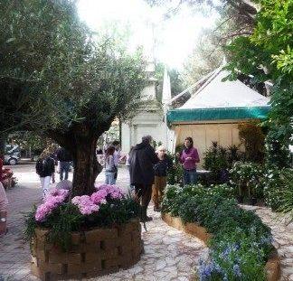  Lido Estensi e il suo mare si vestono di fiori 