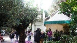 Lido Estensi e il suo mare si vestono di fiori