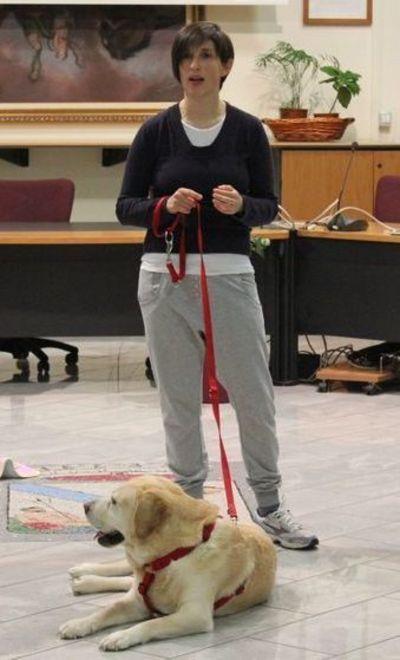 Passeggiata a sei zampe nella natura 