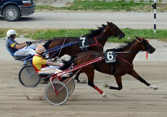 Canali il re dei gentlemen 