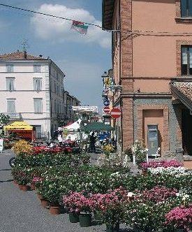  Festa in centro tra musica, fiori e gastronomia