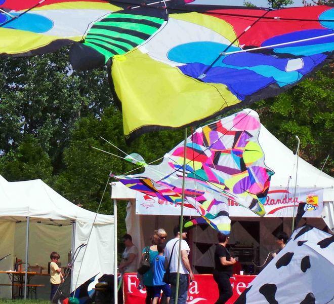 Vulandra, oggi si chiude 