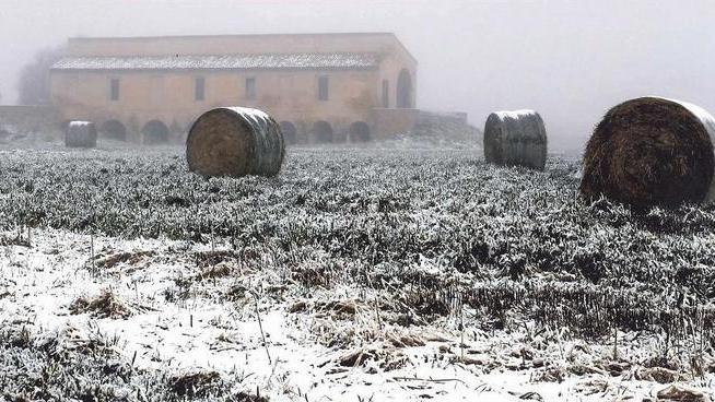 La campagna e la sua fauna