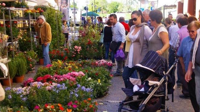 Ambiente e degustazioni oggi alla festa della natura