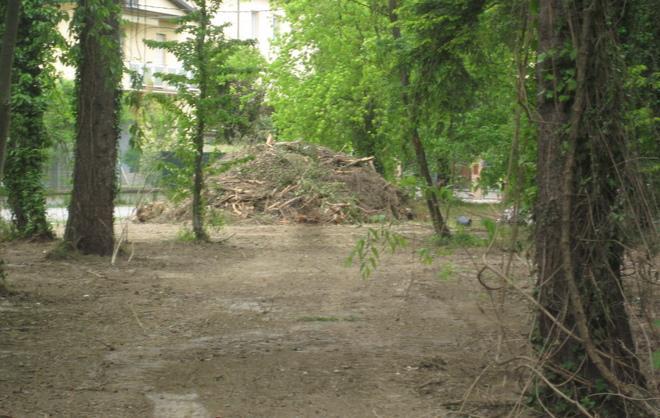 Parco scorticato, esplode polemica 