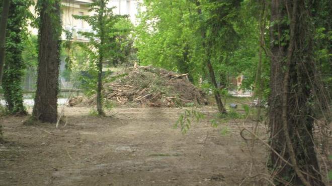 Parco scorticato, esplode polemica