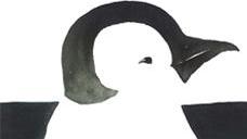 “Il pinguino senza frac” con le illustrazioni di Elisa Pellacani