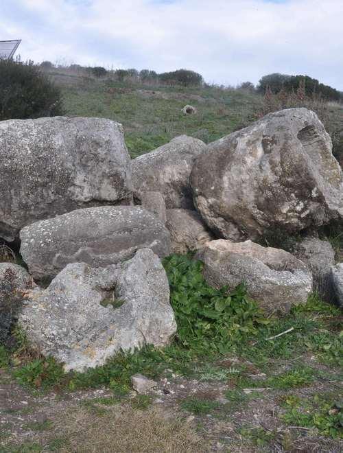 La foresta pietrificata e... dimenticata 
