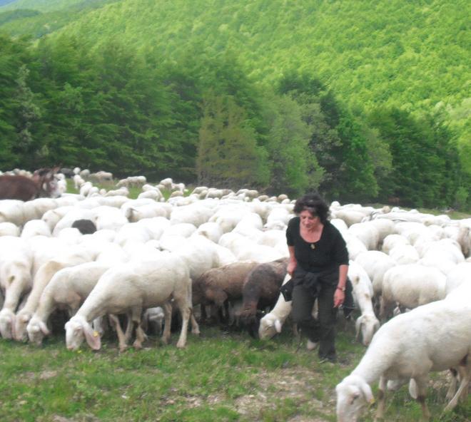 Storia della pastorella che diventò scrittrice della transumanza 