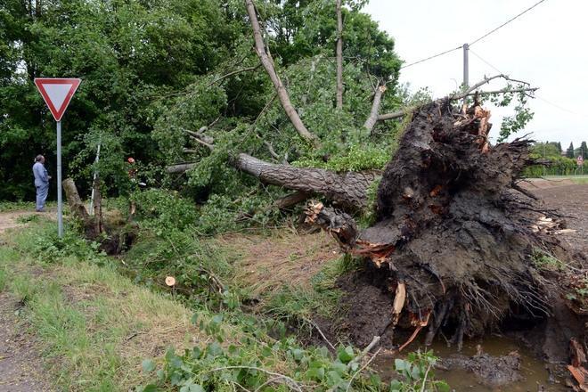 Tornado: tra Nonantola e Castelfranco si lavora  nelle zone colpite  Dimessi i feriti.Rientrate le famiglie evacuate. Nuovo allerta meteo  - TUTTI I VIDEO - TUTTE LE FOTO 