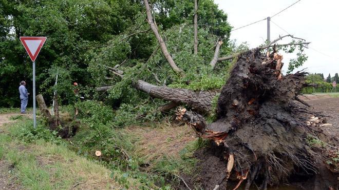 Tornado: tra Nonantola e Castelfranco si lavora  nelle zone colpite  Dimessi i feriti.Rientrate le famiglie evacuate. Nuovo allerta meteo  - TUTTI I VIDEO - TUTTE LE FOTO