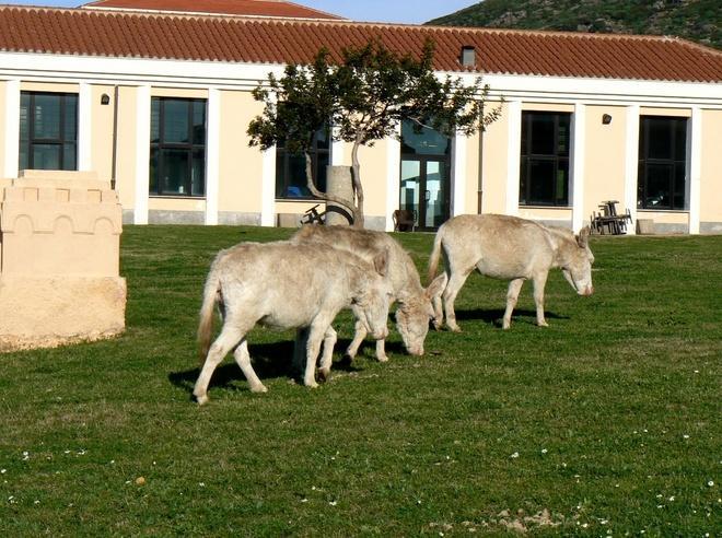 Va avanti l’idea di unire il Parco con l’Area marina