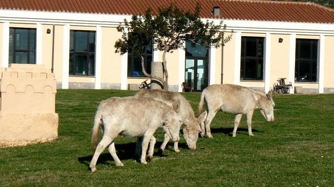 Va avanti l’idea di unire il Parco con l’Area marina