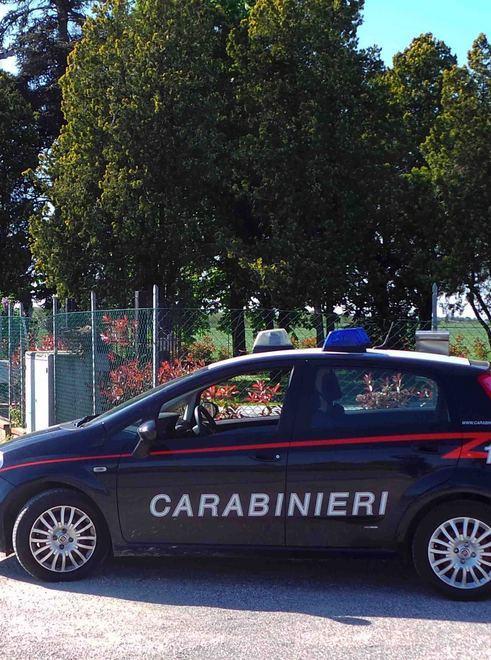 Rubati 400 metri di tubo per irrigazione