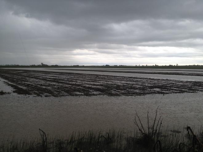 «Allerta maltempo», ma la Regione è in ritardo 