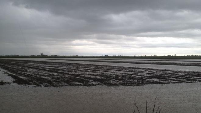 «Allerta maltempo», ma la Regione è in ritardo