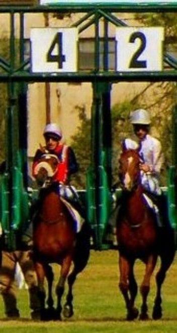  Debutto in pista a Chilivani per le femmine di tre anni 