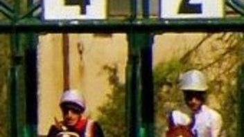 Debutto in pista a Chilivani per le femmine di tre anni
