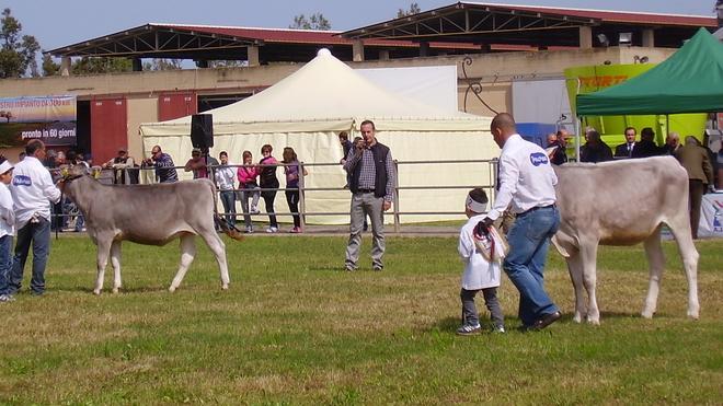 Oggi apre la Fiera di Arborea L’agroalimentare in mostra